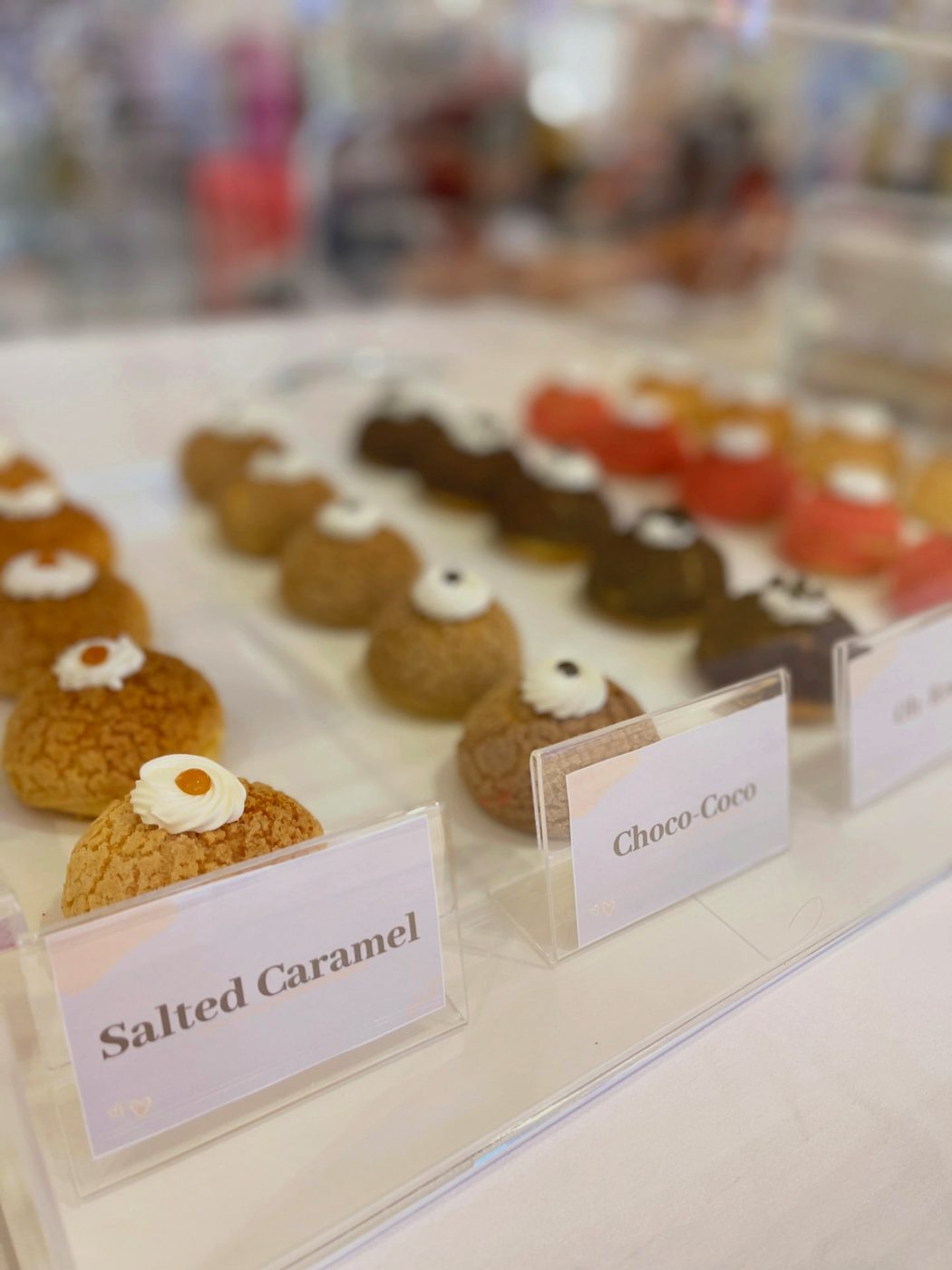 Japanese cream puffs on display — Salted Caramel and Choco-Coco